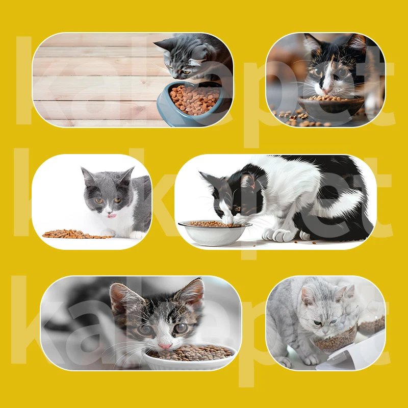 China Dry Dog Cat Treat High Premium Cat Pet Snack Food Trade Supplier For Cat