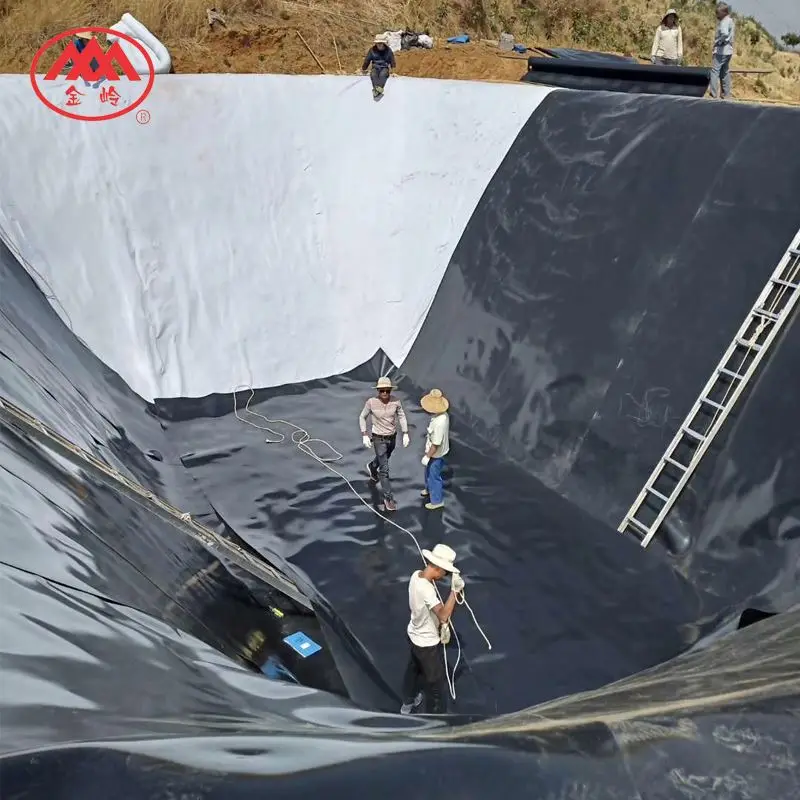 Hdpe Geomembrane Liner Price