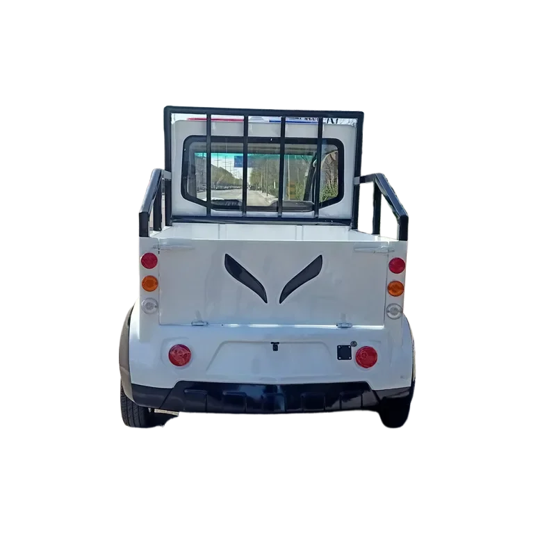 New energy truck 4 seat electric patrol truck open property security patrol car for wholesale