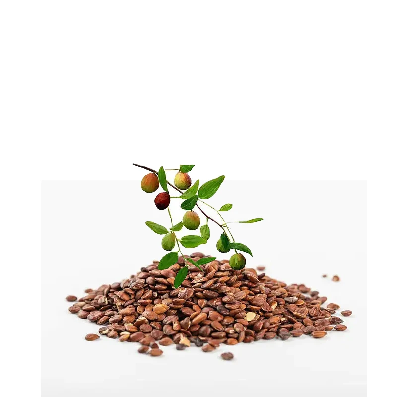 Поставщик Ciyuan Bio Manufacture экстракт семян ююбы порошок экстракта ююбозида 2%