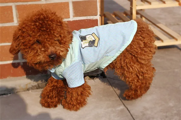 bangkok wholesale dog clothes