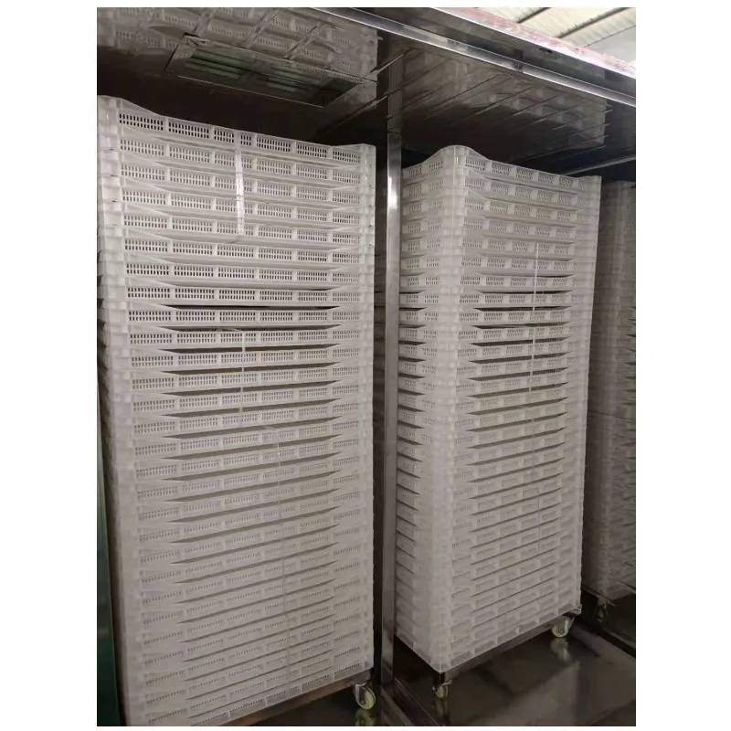 
Commercial All-in-one universal fruit vegetable drying machine 