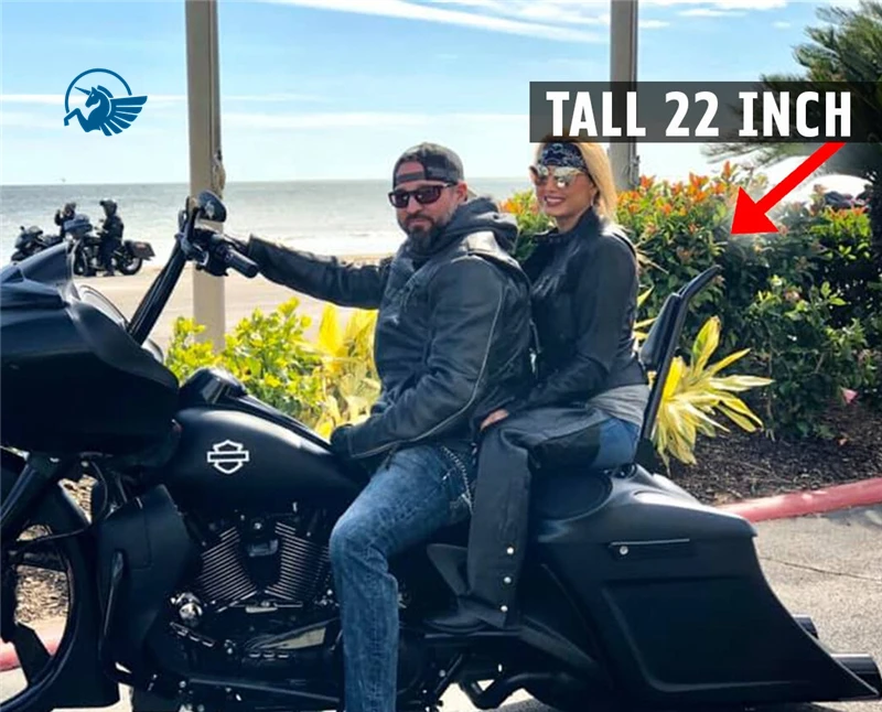 Задняя подставка для пассажира Sissybar 38 мм Harley Touring Road King Street Electra Ultra Glide CVO