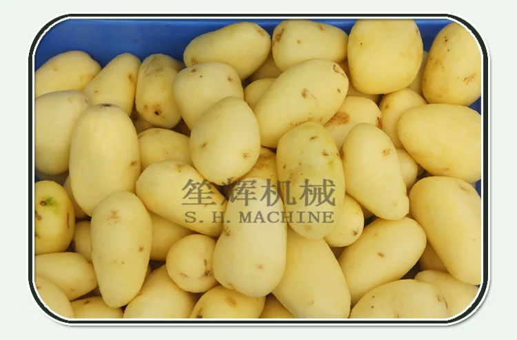 brush cleaning machine.jpg