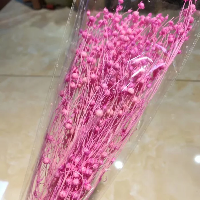 DIY Flower Arrangements Wedding Home Flower Decor Real Natural Dried Preserved Flax  Beans jequirity beans flowers