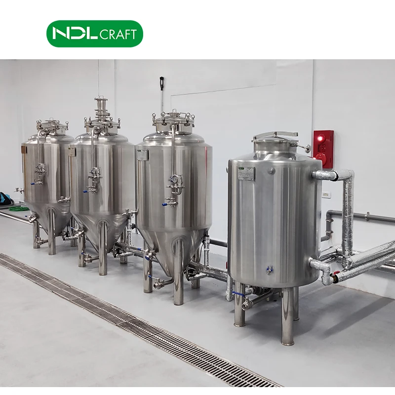 100L Brewery Equipment, Micro Beer Brew Video Technical Support Provided Canada