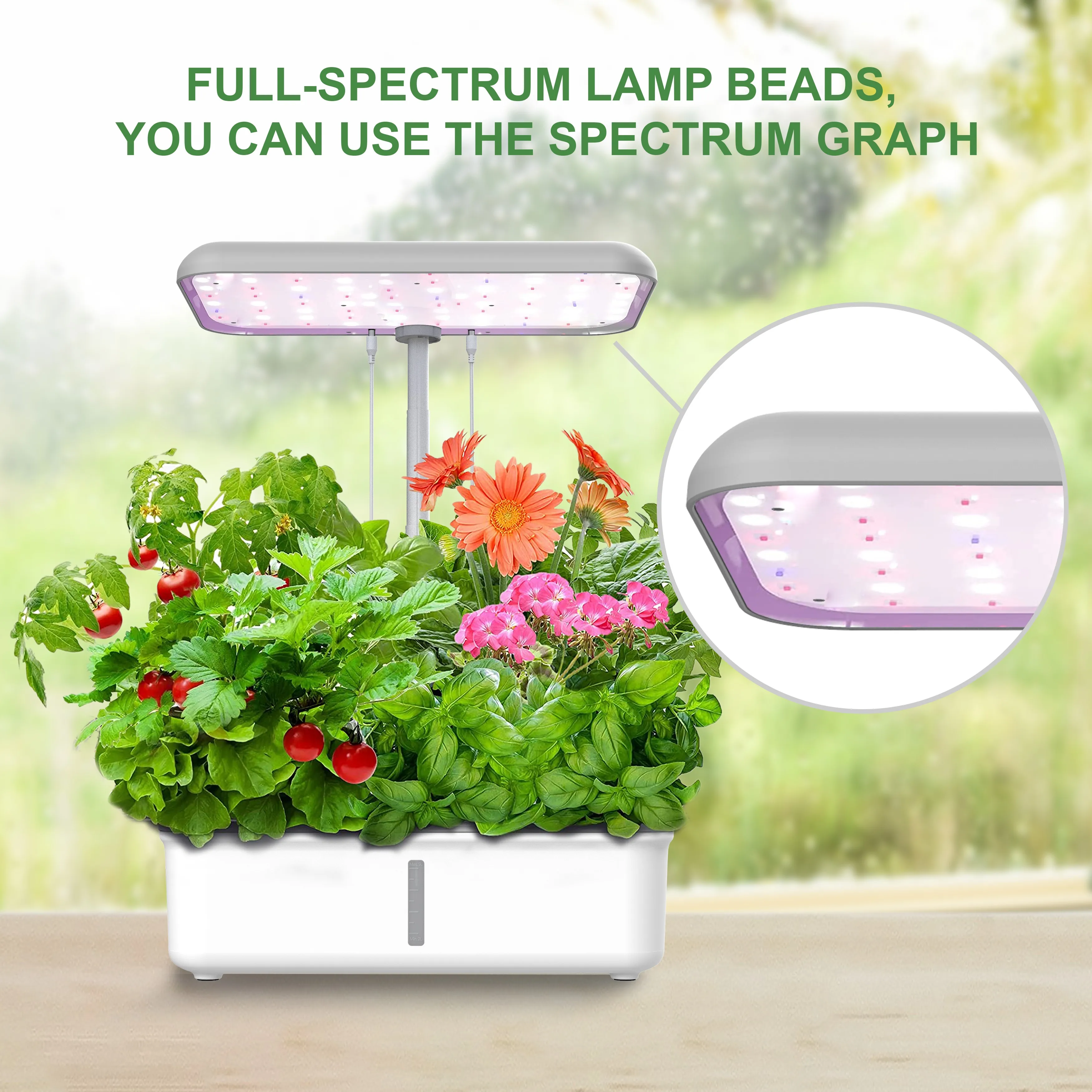 Plant grow light Rosemary Oxygenation & Water Cycle cultivate timer art room smart indoor garden aquaponics hydroponics system