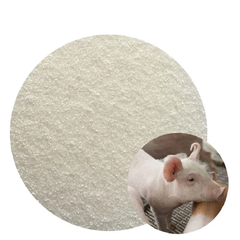 Pig Fattening Feed Antibiotic Substitution Tributyrin Powder 60% Nutrition Premix For Swine