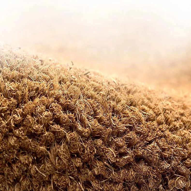 20509996277_2032464914