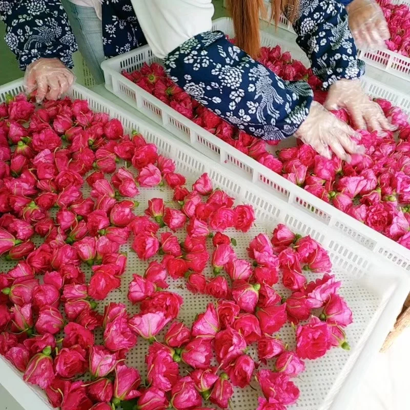 Princess Shao Organic Rose Tea Dried Tea Flowers Dry Flowers Natural Flavor Tea