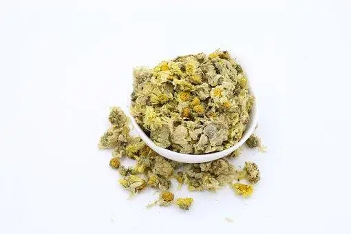 instant chrysanthemum tea powder