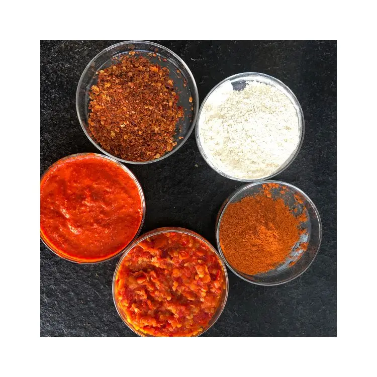China Supplier Wholesale Hot Oil Chili Sauce Chili Sauce