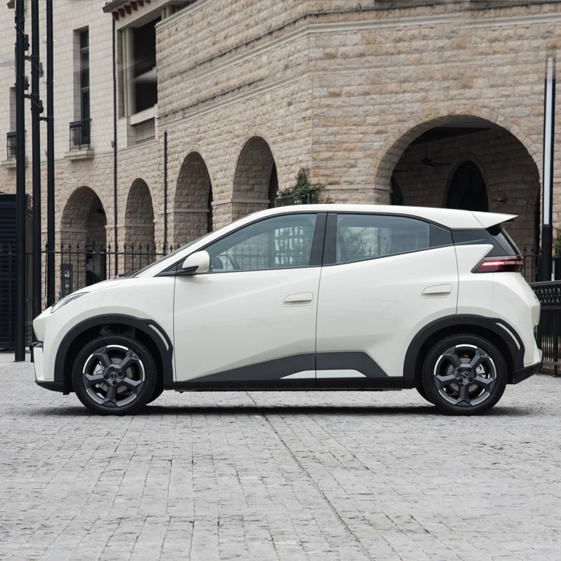 BYD Electric Car Seagull Small SUV 2024 Dolphin Seal Vehicle New Energy Cars