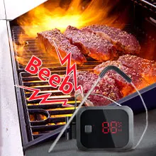INKBIRD IBT-2X Wireless Digital LED Meat grilling Oven thermometer with two probes BT 5.0 smart food thermometer