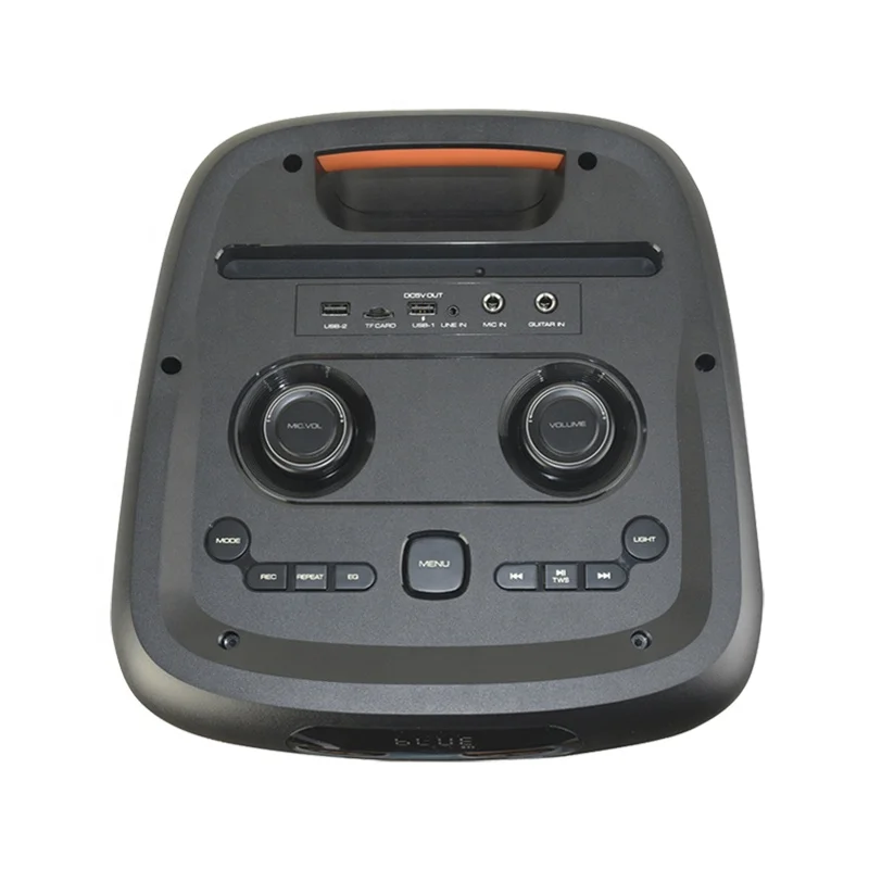 Temeisheng fashion sound speaker with via  Wireless dual 8 Inch TMS-818  Partybox chinese karaoke machine