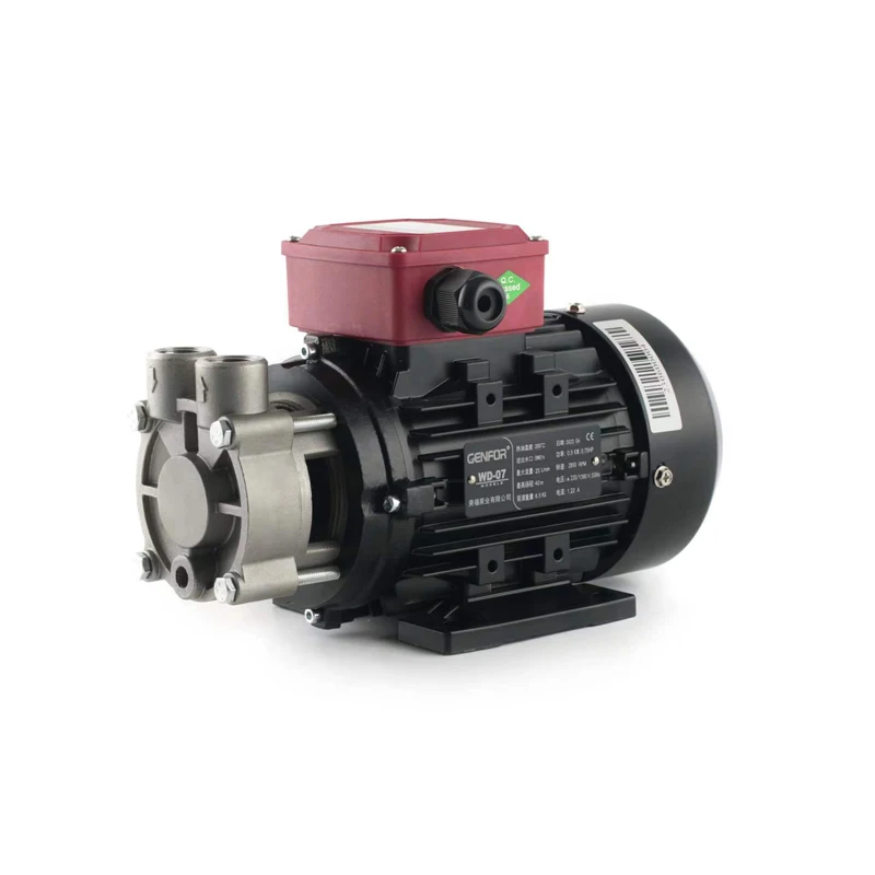 WD-05 0.5HP 0.37KW 380V 50HZ 40M Head 25LPM Stainless Steel High Temperature Self-priming Votex Oil Pump
