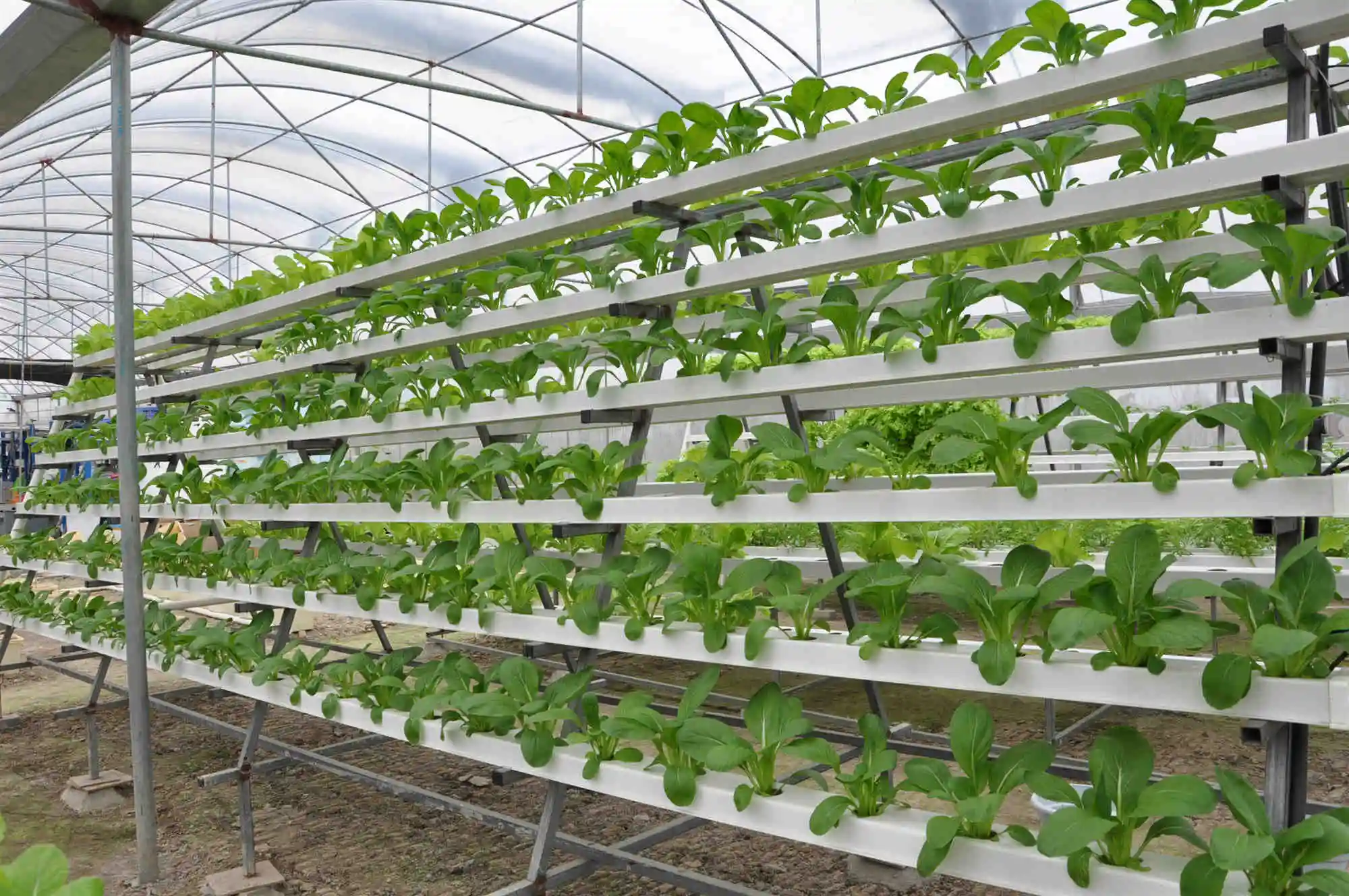 Hydroponics System with 72 Holes Kits,Vertical Hydroponics PVC Pipe Plant Vegetable with 12V Water Pump