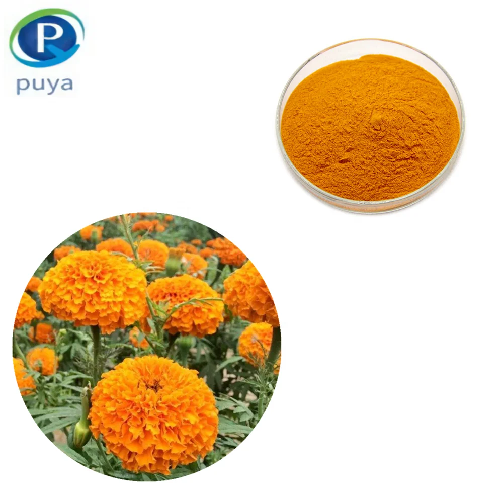 
Marigold Flower Extract High Quality Lutein 90% Powder For Nutrition Supplement 
