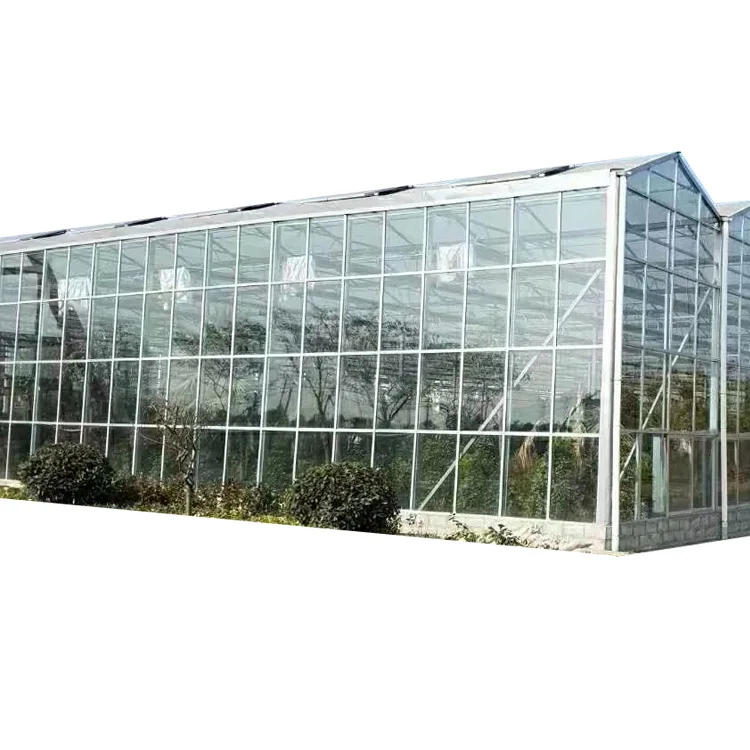 Venlo Tempered Glass Greenhouses Agricultural Greenhouse With Tomato Hydroponic Growing System