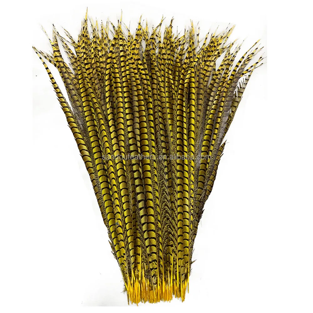 Wholesale  Pheasant Feathers Long  Lady Amherst Pheasant feathers Handmade Costumes Dancing of The Carnival