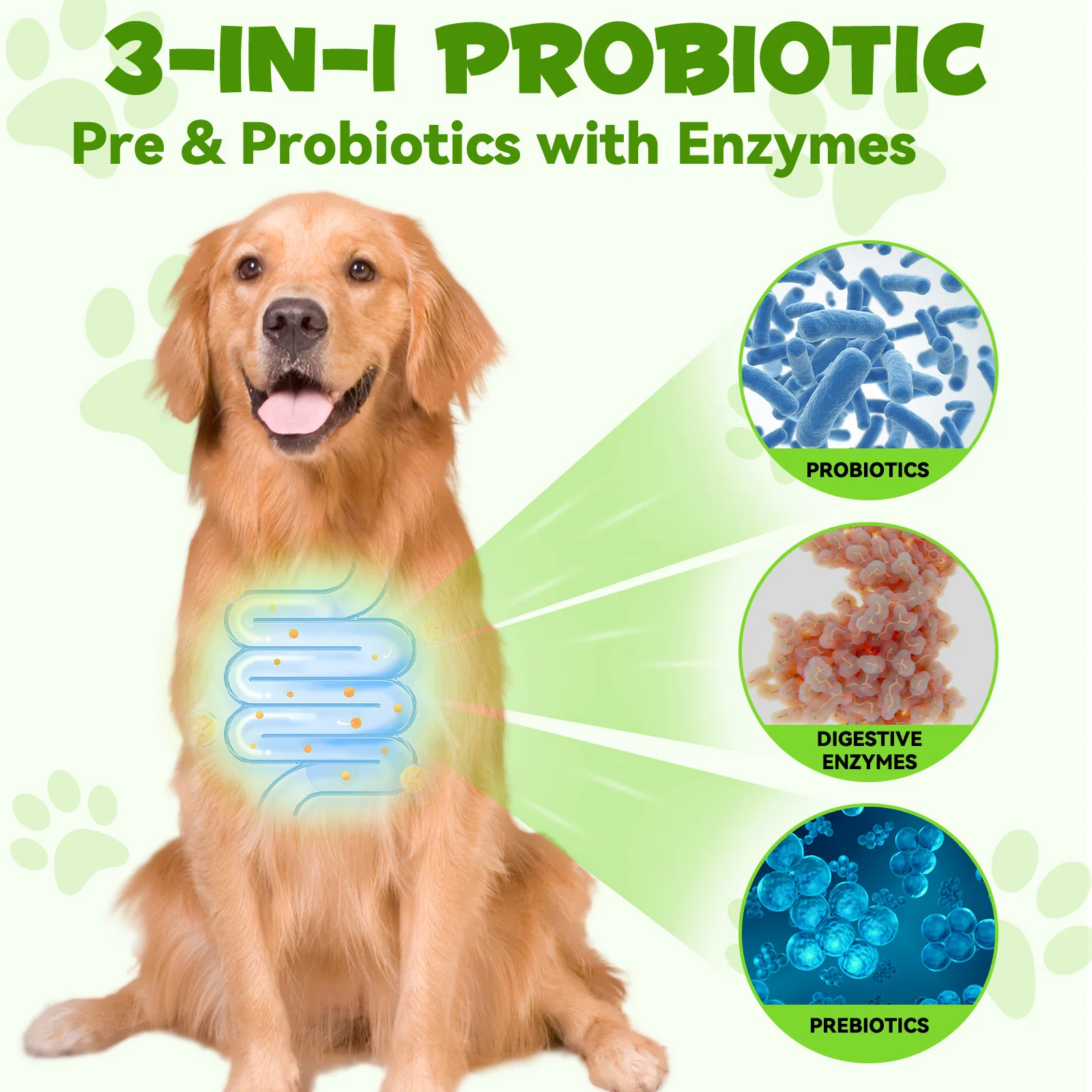 Private Label Natural 3 In 1 Pet Pre and Probiotic Drops Supplement Liquid Probiotic for Dogs with Digestive Enzymes