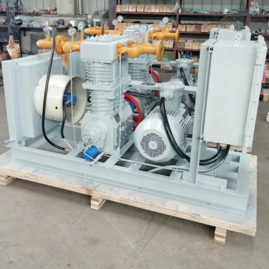 High Performance Reciprocating Oil-free Natural Gas CNG Piston Compressor For CNG Filling Station