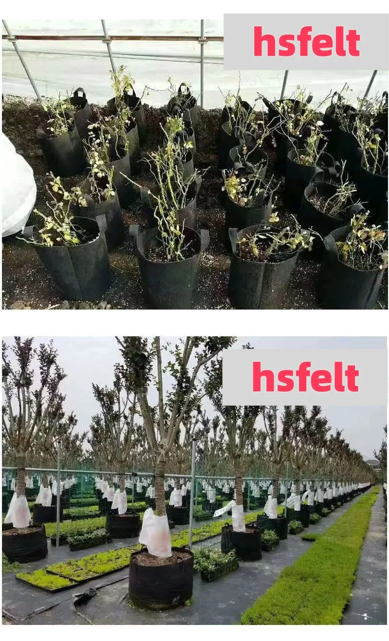 1 3 5 7 10 15 20 25 30 35 50 Gallon Felt Plant Grow Bags felt plant barrel Thickened Garden Non Woven Felt Flower Pot