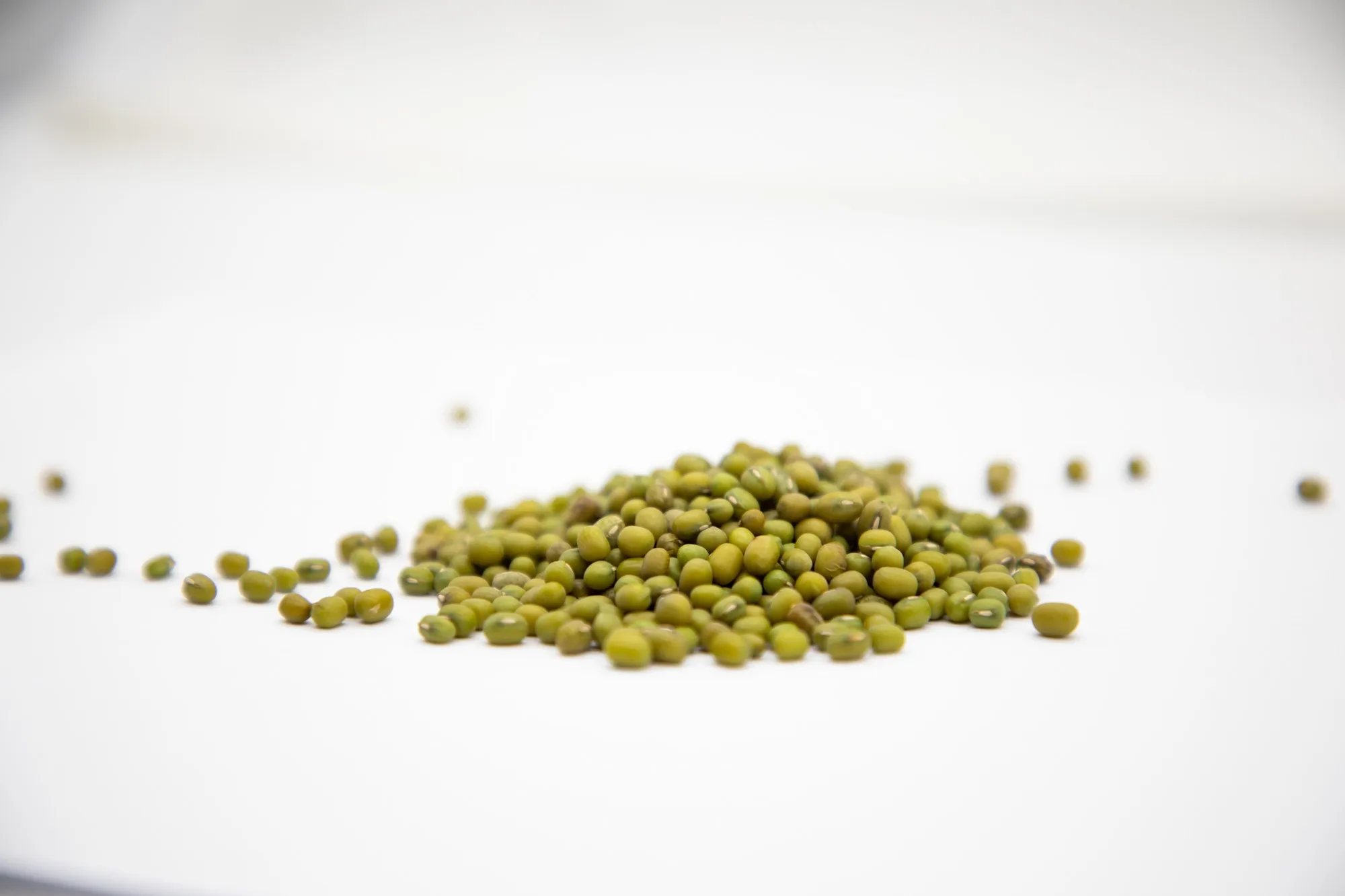 Organic green mung beans 100% natural high grade vigna beans for sprouting from Uzbekistan manufacturer