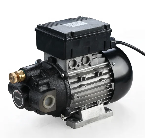 Lubricating oil transfer pump 220V AC vane type electric oil pump