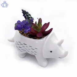 Animal Ceramic Succulent Planters/ Small Cactus Pots with Drainage Hole Cute Gift Backyard Animals