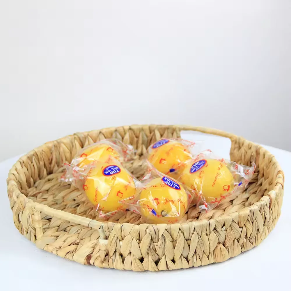 Factory Wholesale Dark Brown Round Handcrafted Woven Water Hyacinth Serving Trays Baskets With Handles for Fruit Bread