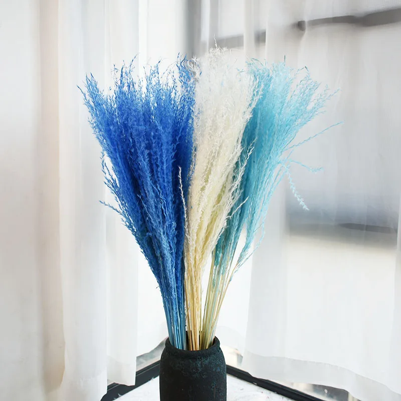 Natural Pampas Grass Dried Flowers Wedding Decoration Small Pampa Grass Natural Pampas Grass  decorative for outdoor decor