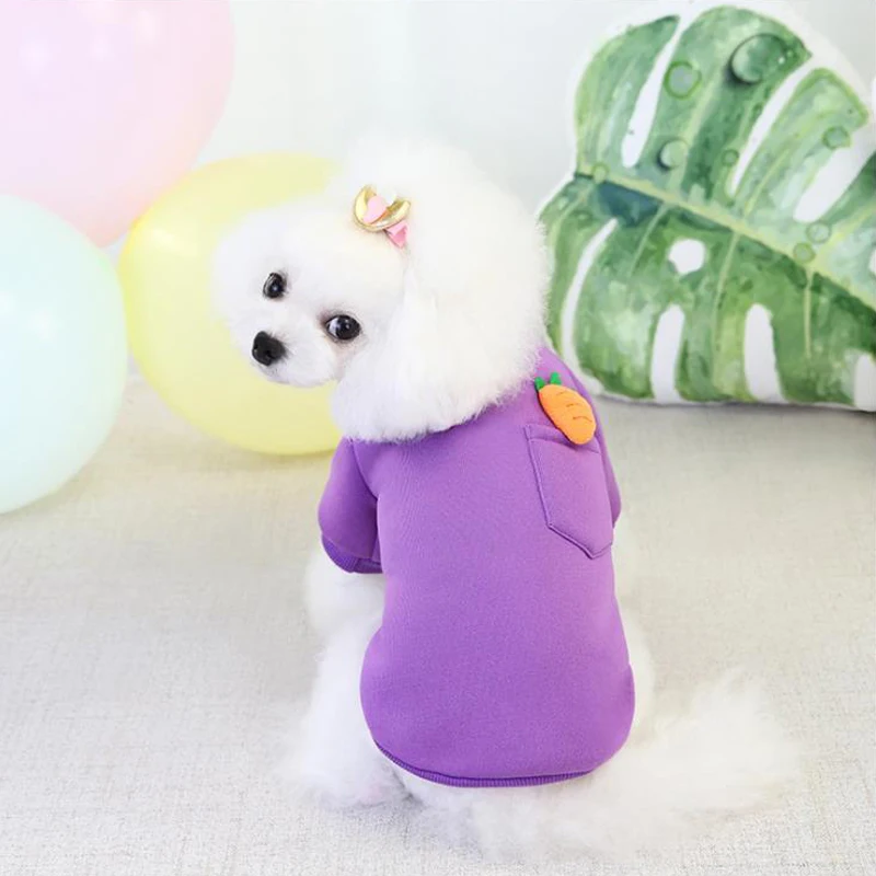 Wholesale Cheap Multicolor Keep Warm Winter Pet Accessories Designer Luxury cotton Printing Big Small Dog
