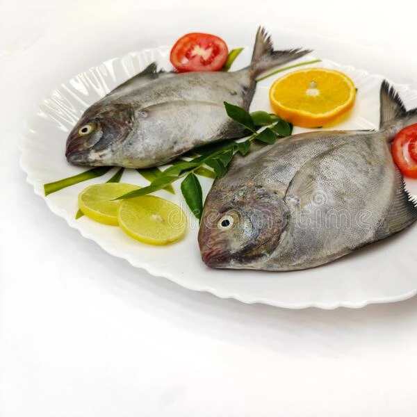 High Quality Frozen Black Pomfret export from Vietnam with Best price(ThaiLien company, Ms Fiona +84908794118)