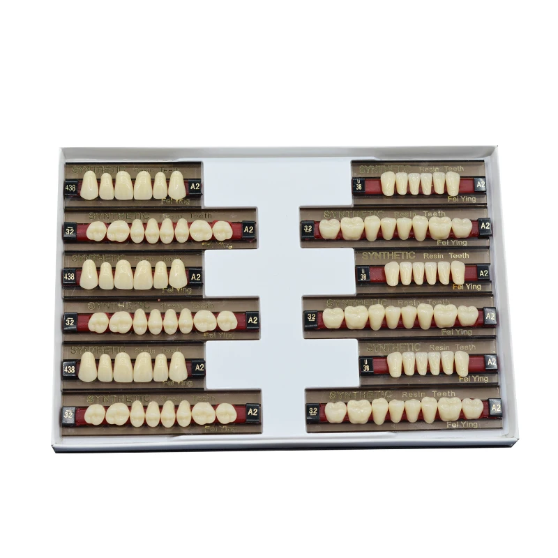 Factory Synthetic Resin Teeth Acrylic Denture Teeth Manufacturers