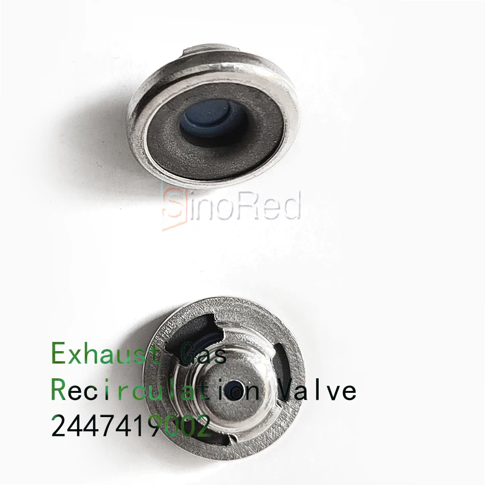 Promotion Exhaust Gas Recirculation Valve 2447419002 for engine oil pump overhaul and fuel gasket kit replace