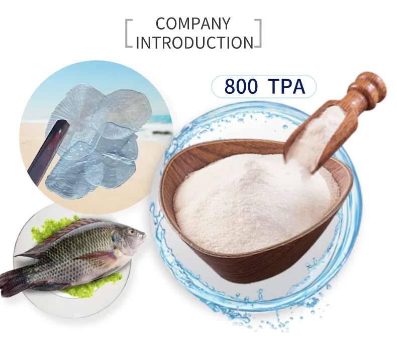 Pure peptide fish collagen powder for anti-aging nutrition enhancers Collagen energy drinks