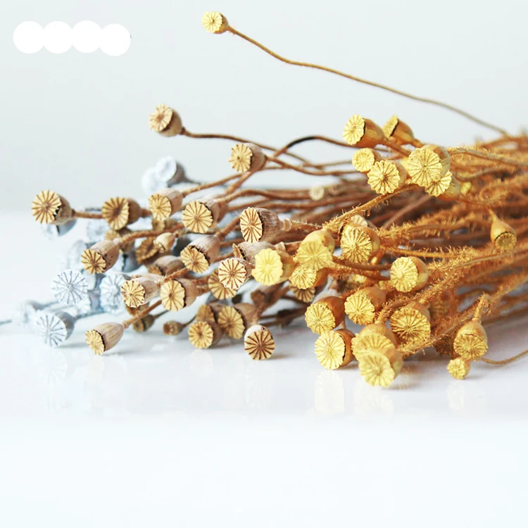 Summer Flora Wholesale Natural Interior Decorative Flowers Corn Poppy Dried Flowers For Home Decoration
