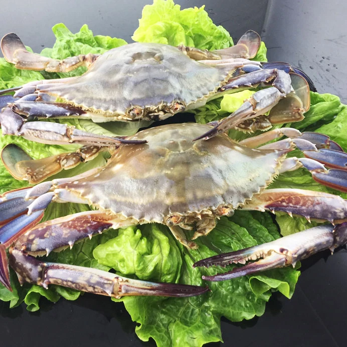 
Wholesale Price Frozen half cut blue swimming crab seafood 