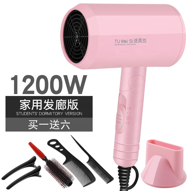 Anion Mini Professional Student Dormitory Blow Dryer Hotel Foldable Hair Dryer