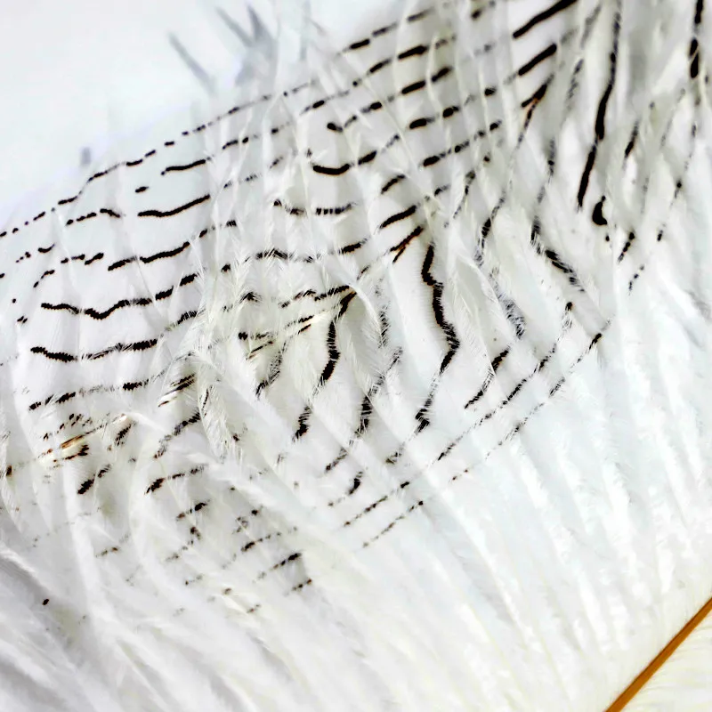 Factory Wholesales Quill Dip Pen Calligraphy Pen