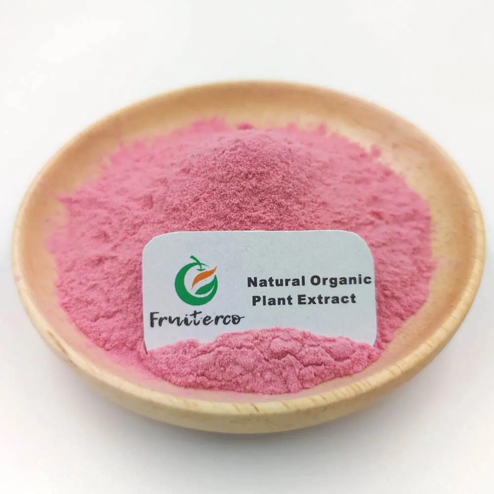 Ready to Ship Wholesale Bulk Sour Concentrate Tart Acerola Cherry Fruit Juice Powder Extract