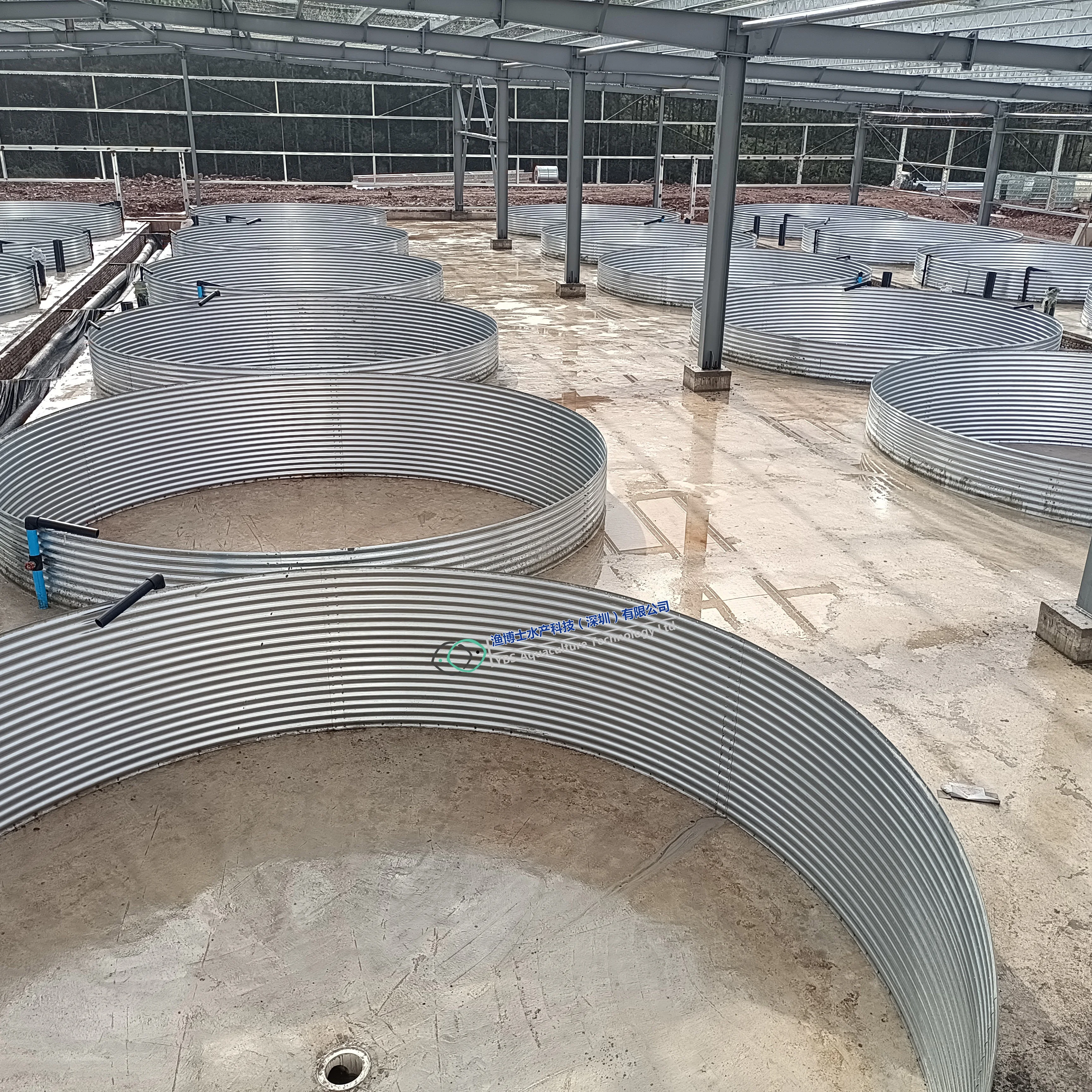 Factory direct sale Tilapia  indoor fish farming recirculating aquaculture system ras