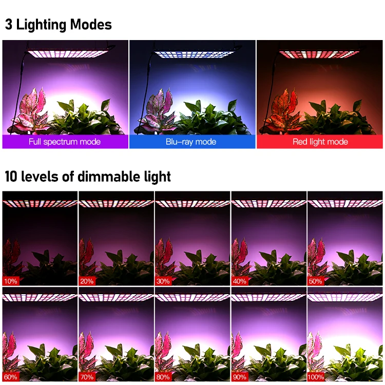 CFGROW 300W Full Spectrum Phyto Lamp LED Grow Light for Indoor Plants Flowers Greenhouse Growth Tent