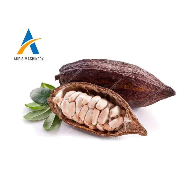 Fresh cocoa pods breaker machine cacao pod huller machine