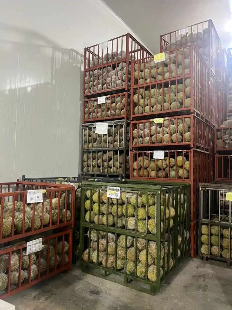 Малайзия Durian экспортер свежее азиатское премиальное замороженное пюре D197 Musang King