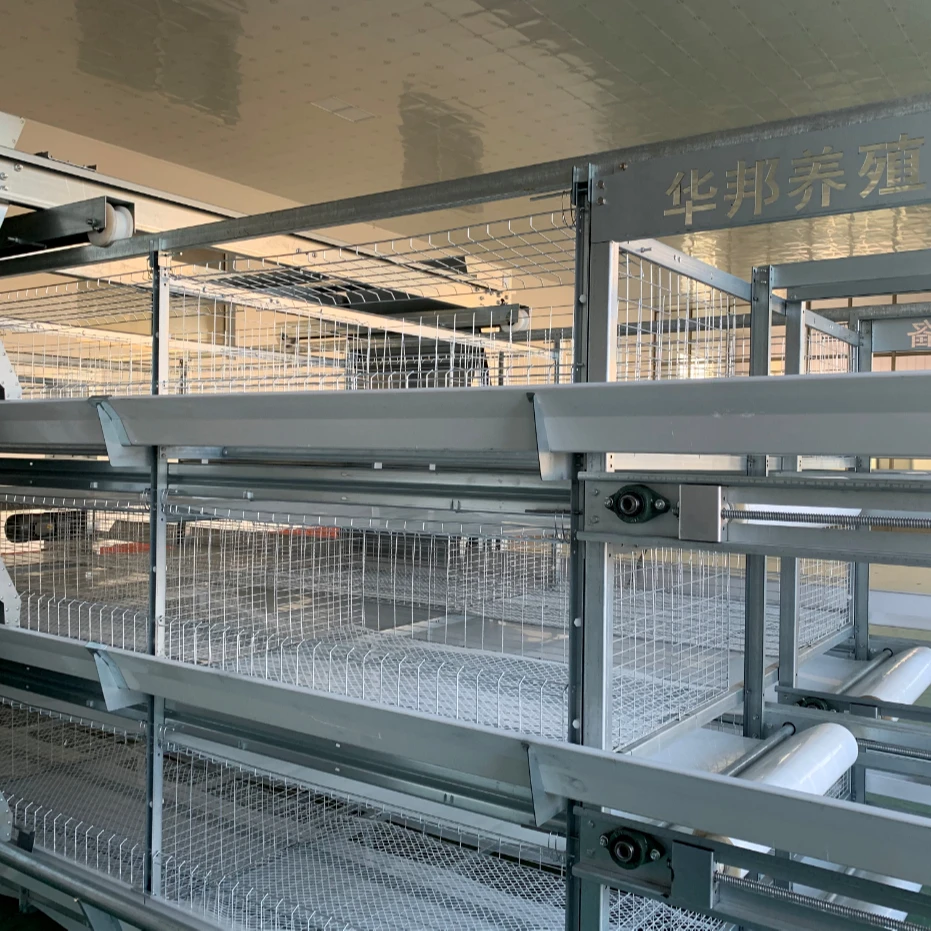 Best Selling Products in Africa-Other+Animal+Husbandry+Equipment Poultry Cage