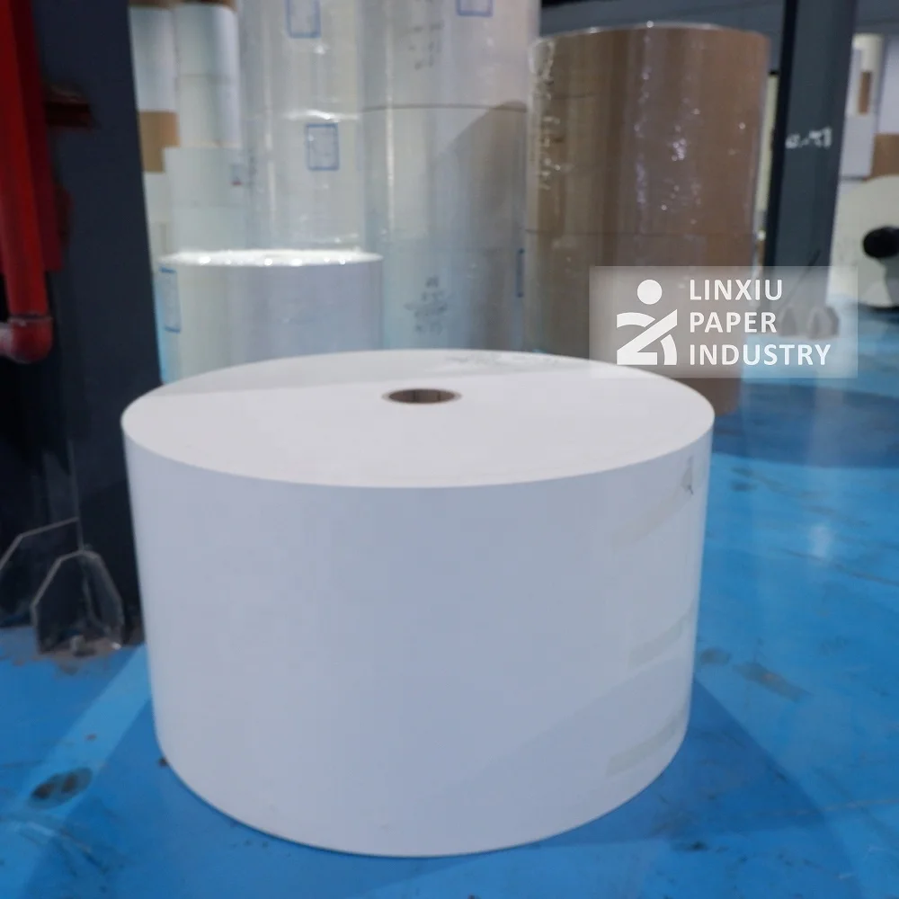 Food grade single or double pe/pla/pbs coated paper cup raw material paper jumbo roll manufacturer
