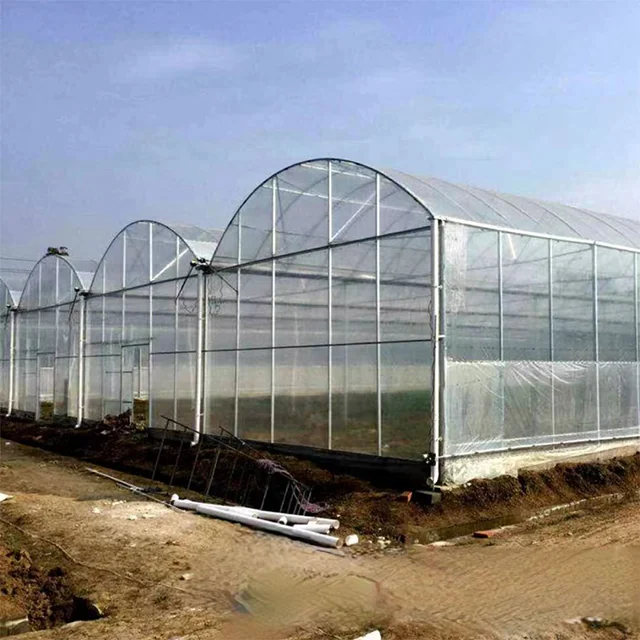 High Productivity Large Plastic Shed metal frame Motor-Ventilated Film Greenhouse