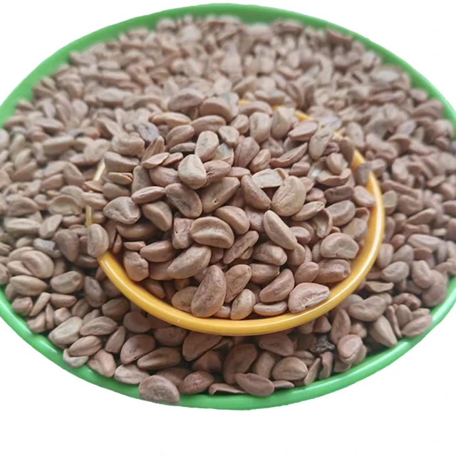 Сжигающие гранулы развлекательный песочный ящик для автомобильного сиденья наполнение воды мытье боярышника семена